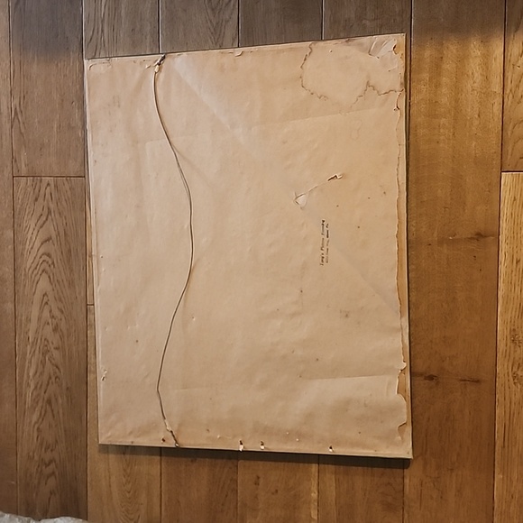 Vintage Rare Mola Beautifully framed possibly panama - Picture 8 of 16